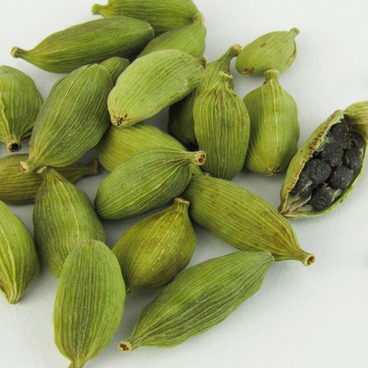 Cardamomo